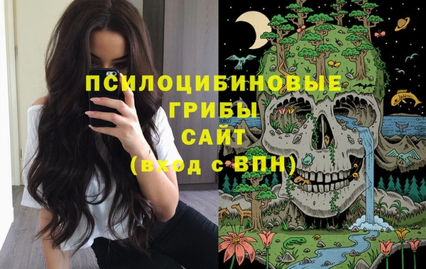 a pvp Алзамай